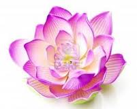imagesCA02THW82